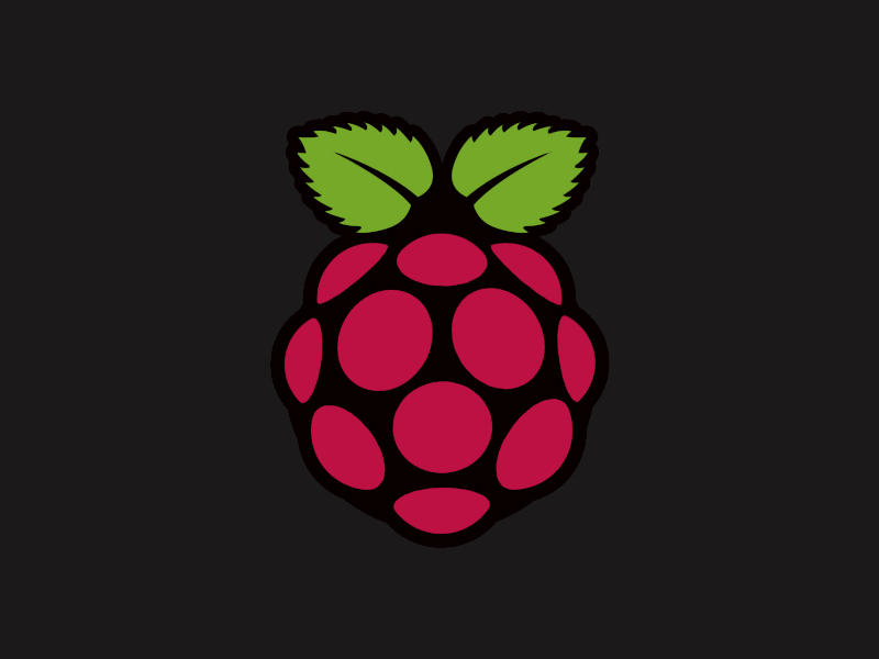 Raspberry Pi Stake Pool